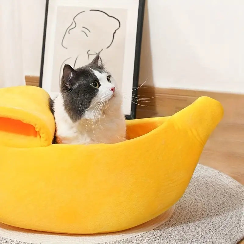 Bananenbett | Für Entspannten Schlaf und Kratzfreies Mobiliar
