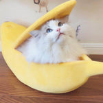 Bananenbett | Für Entspannten Schlaf und Kratzfreies Mobiliar