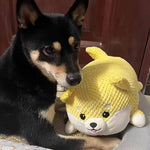 BarkBoo | Für starke Zähne und glückliche Hunde