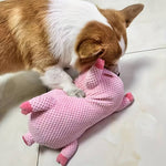 BarkBoo | Für starke Zähne und glückliche Hunde
