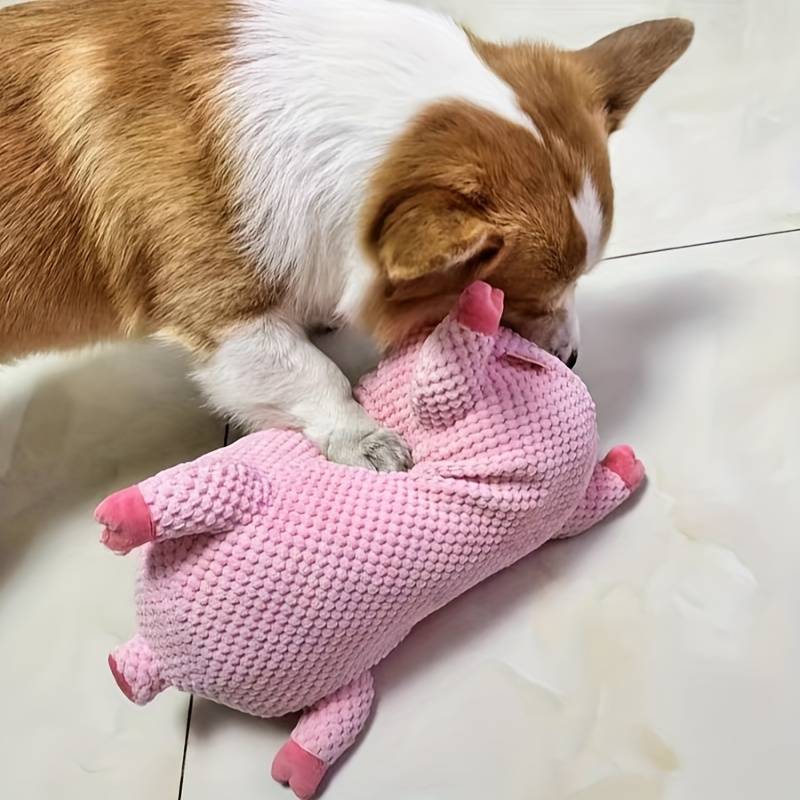 BarkBoo | Für starke Zähne und glückliche Hunde