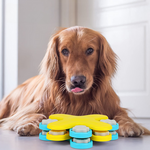 BarkBrain | Fördern Sie langsames Essen und reduzieren Sie Stress
