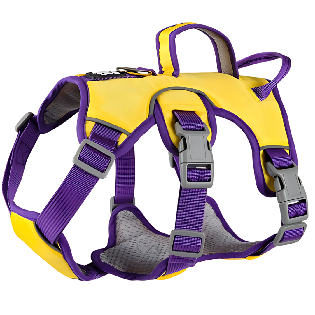 BarkVest | Reflektierendes Hundegeschirr für Abenteuer