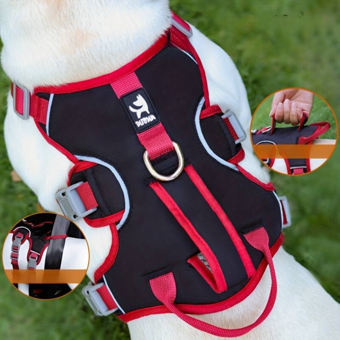 BarkVest | Reflektierendes Hundegeschirr für Abenteuer