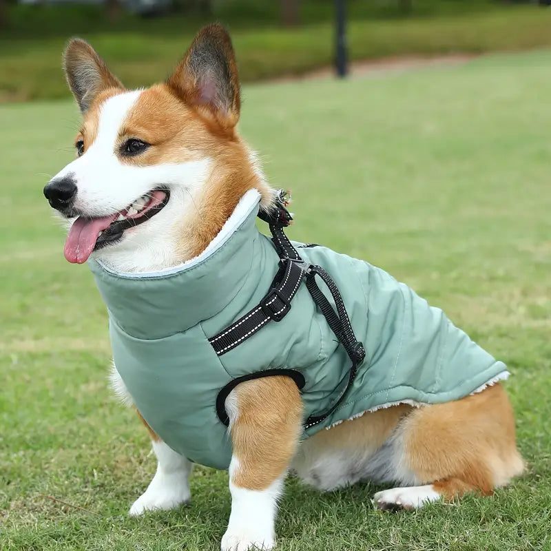 Barkie | Nie wieder kalte Spaziergänge