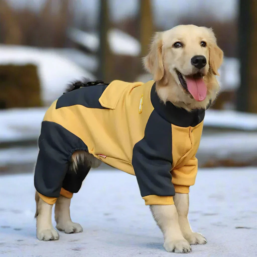 Barksy | Winterpullover für Hunde gegen Kälte und Schnee