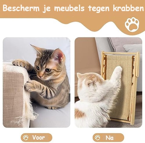 BeachPaw | Luxuriöse Kratzmöbel für Katzen zum Schutz Ihrer Einrichtung