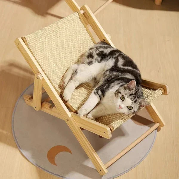 BeachPaw | Luxuriöse Kratzmöbel für Katzen zum Schutz Ihrer Einrichtung