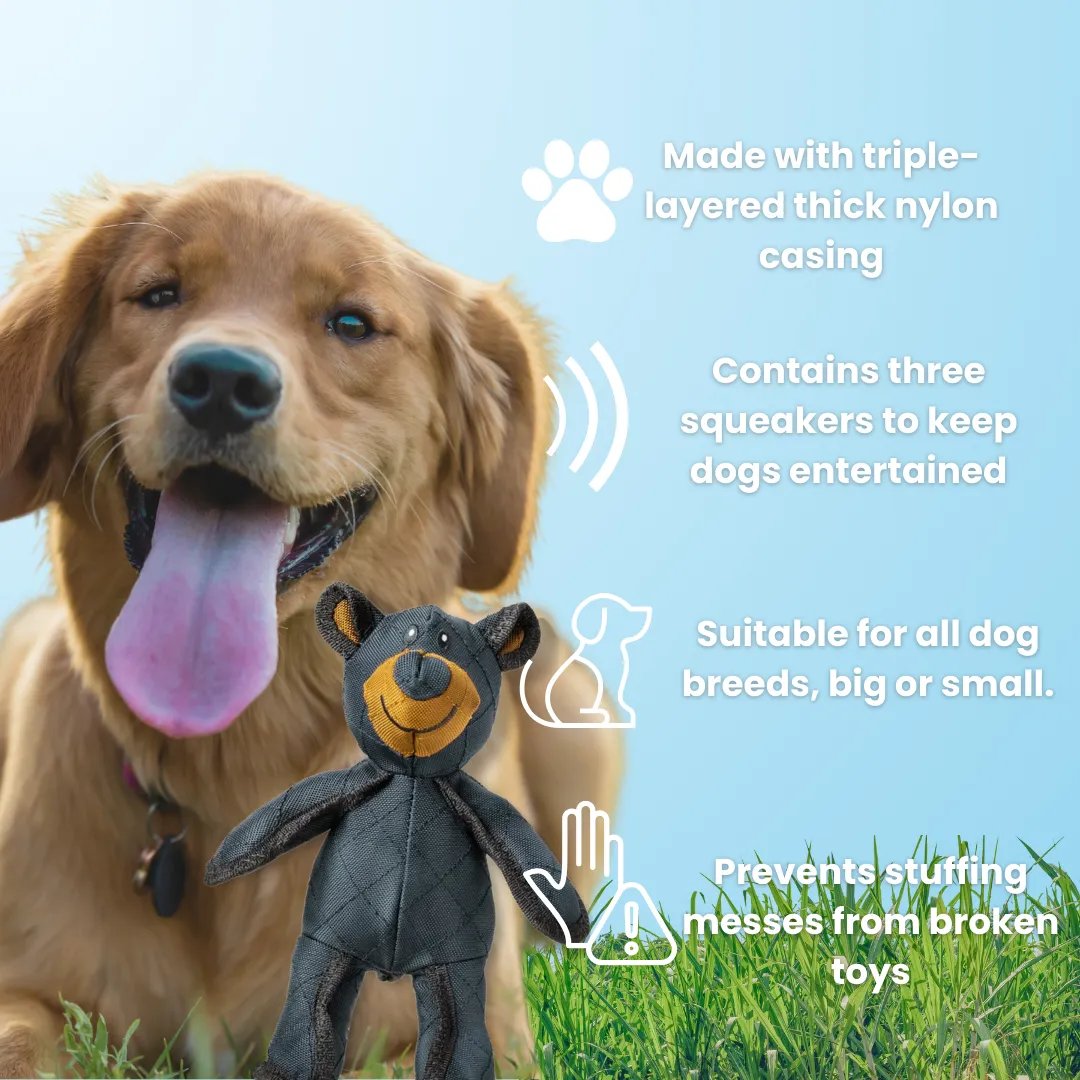 HundeGlück – Unzerstörbarer Spielspaß für Ihren Vierbeiner