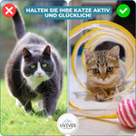 Abenteuerlicher Katzentunnel mit Spielzeug für aktive Katzen