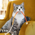 Zahnpflege-Spielzeug für Katzen