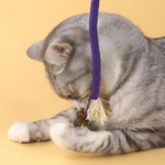 Zahnpflege-Spielzeug für Katzen