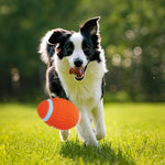 BiteBlitz | Unzerstörbarer Kauspielzeug für Hunde