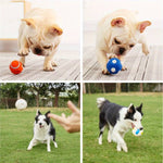 BiteBlitz | Unzerstörbarer Kauspielzeug für Hunde