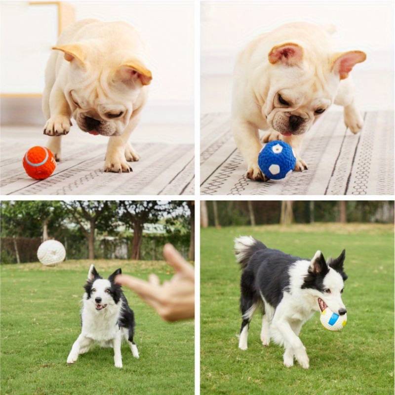 BiteBlitz | Unzerstörbarer Kauspielzeug für Hunde