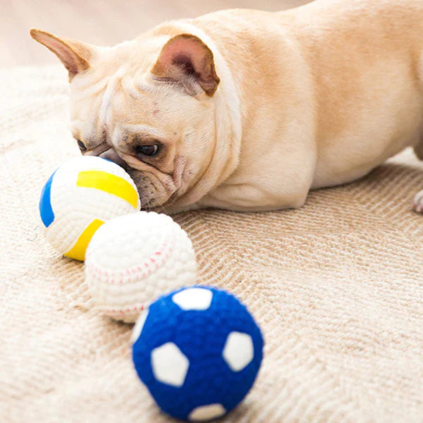 BiteBlitz | Unzerstörbarer Kauspielzeug für Hunde