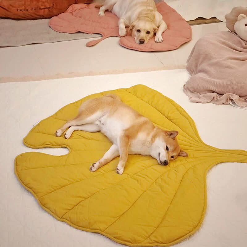 LeafyPet Blanket – Elegant Dog Blanket Made of Cotton and Polyester