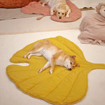 Hundebett in Blattform – Bequemes Bett aus Baumwolle und Polyester