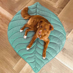 LeafyPet Blanket – Elegant Dog Blanket Made of Cotton and Polyester