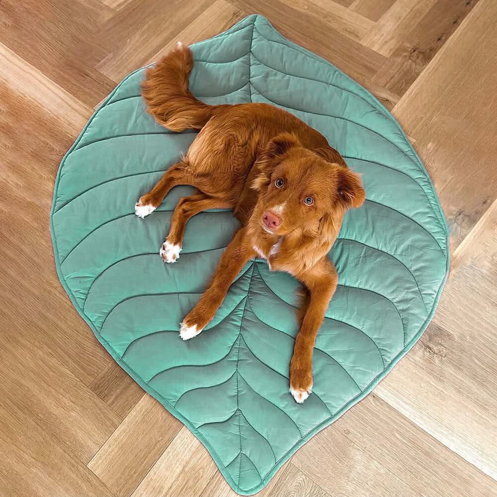 LeafyPet Blanket – Elegant Dog Blanket Made of Cotton and Polyester