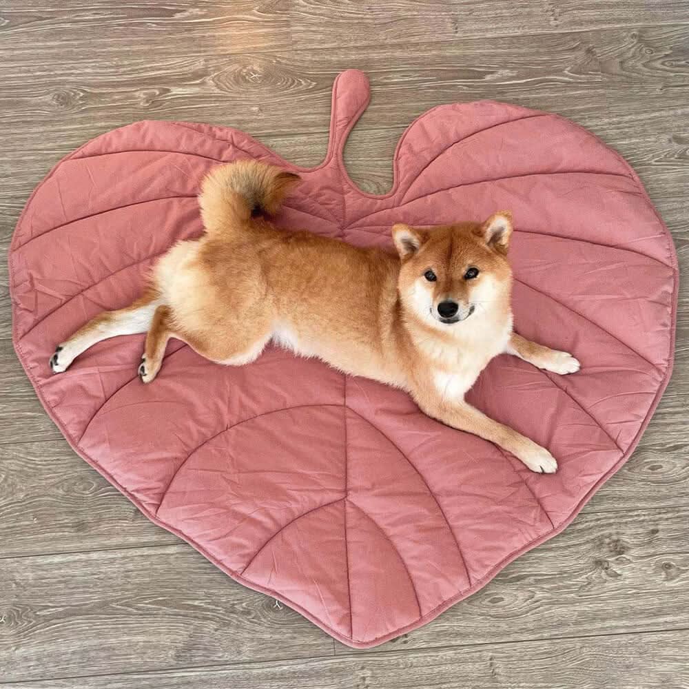 Hundebett in Blattform – Bequemes Bett aus Baumwolle und Polyester