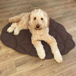 LeafyPet Blanket – Elegant Dog Blanket Made of Cotton and Polyester