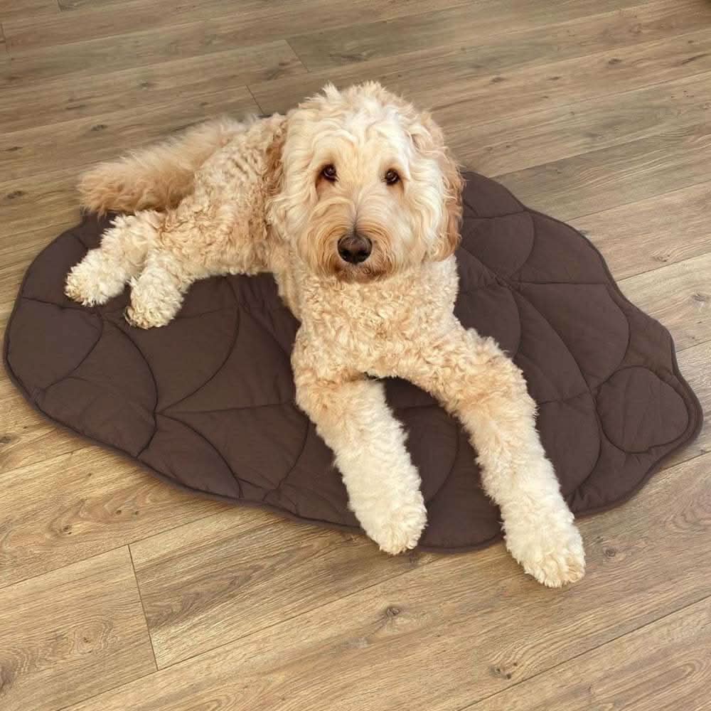 Hundebett in Blattform – Bequemes Bett aus Baumwolle und Polyester