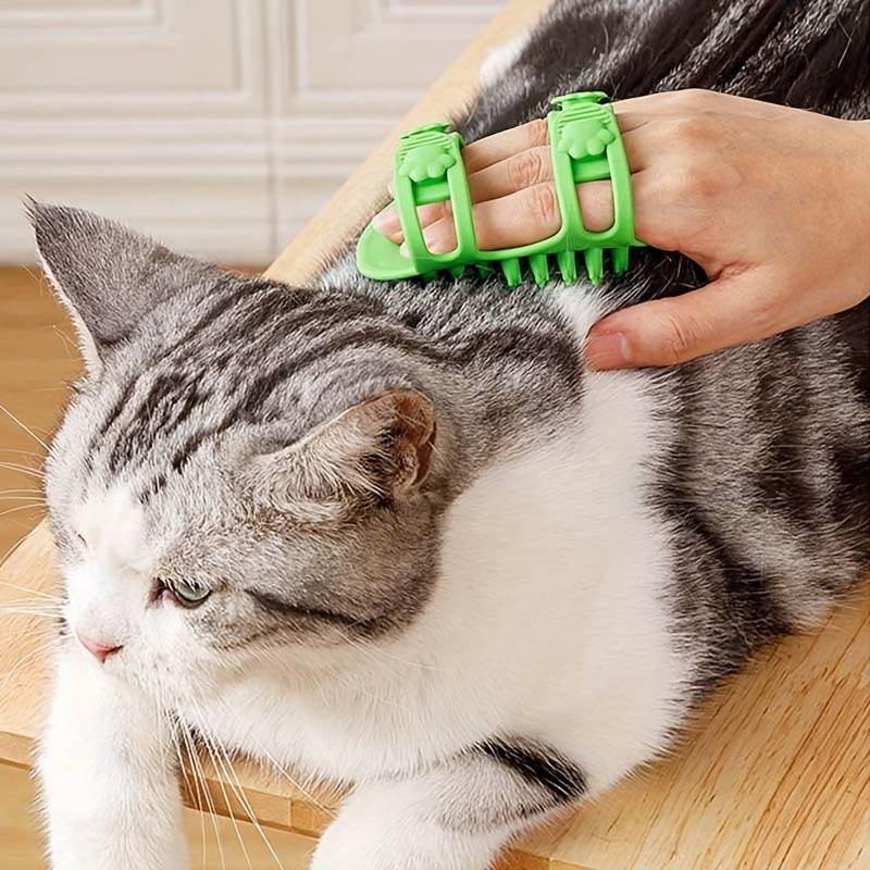BlissPaw | Verwöhnung für Ihre Katze