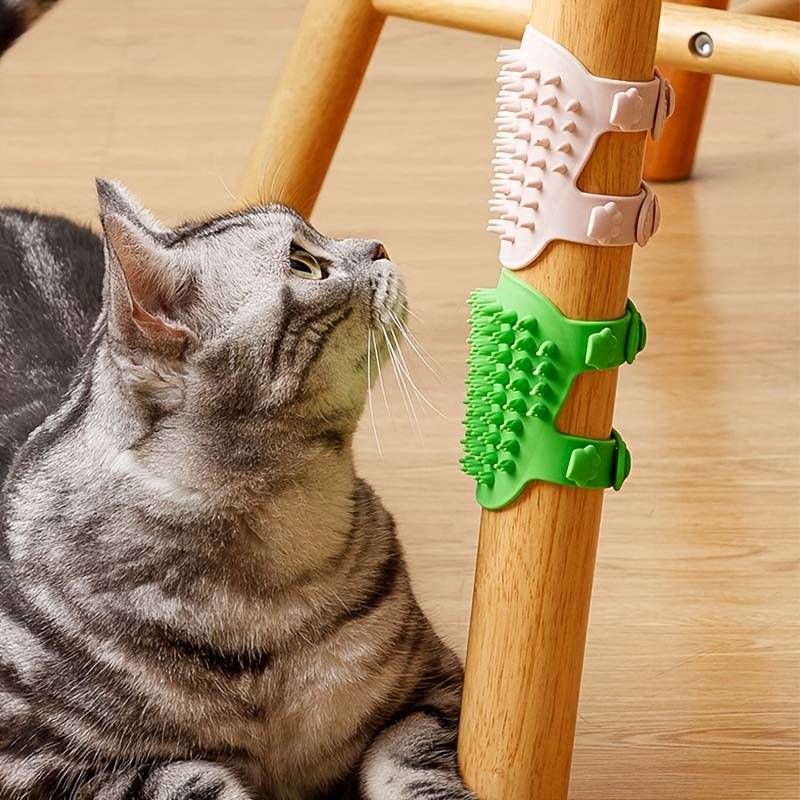 BlissPaw | Verwöhnung für Ihre Katze