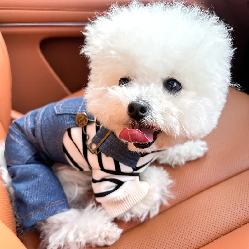 BlueBark | Modische gestreifte Jeansjacke für Hunde