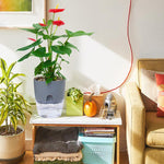 Selbstbewässernder Blumentopf | Saubere Bewässerungslösung