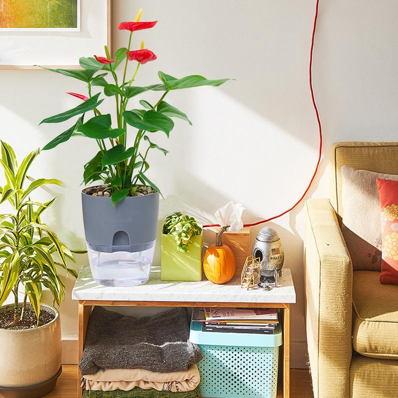 Selbstbewässernder Blumentopf | Saubere Bewässerungslösung