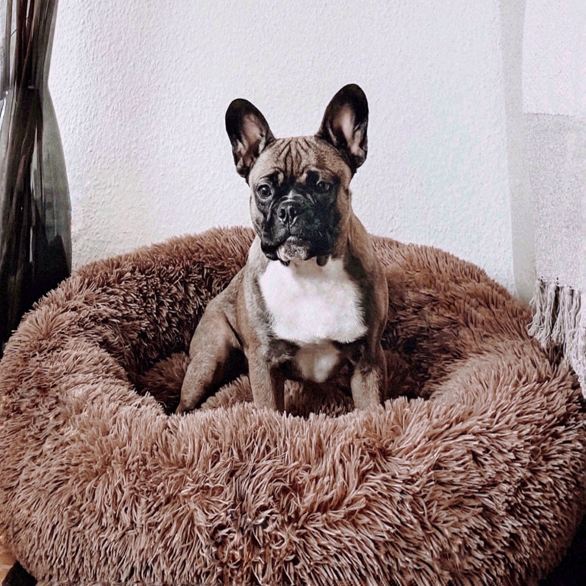 FluffyNest Komfort Hundebett – Orthopädisches Plüschschlafkissen für Hunde