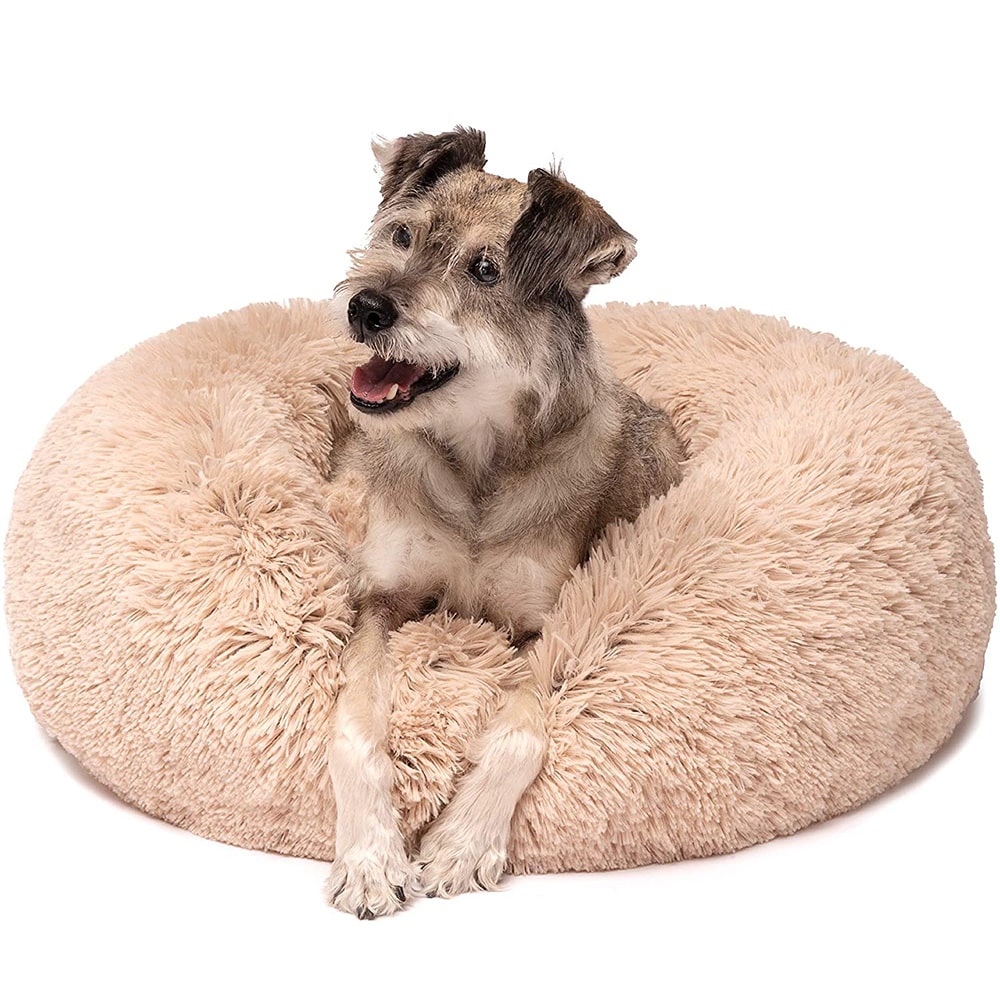 Sichere Ruhezone – Stressabbau für Ihren Hund