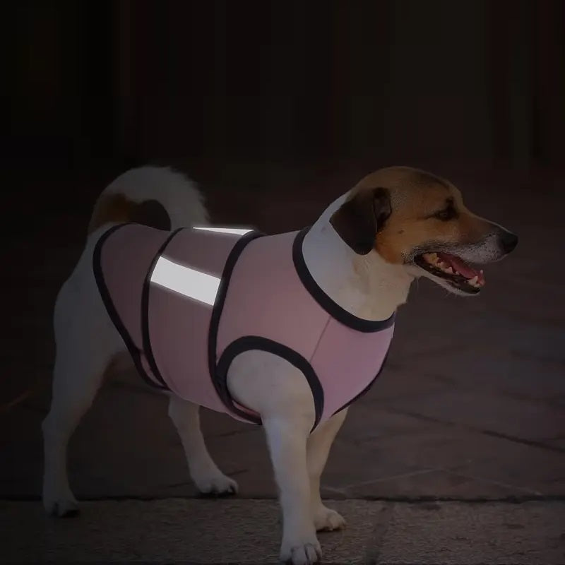 CalmPet | Beruhigungsweste gegen Angst und Stress