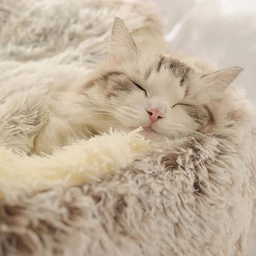 Luxuriöses Katzenplüschbett für ultimativen Komfort