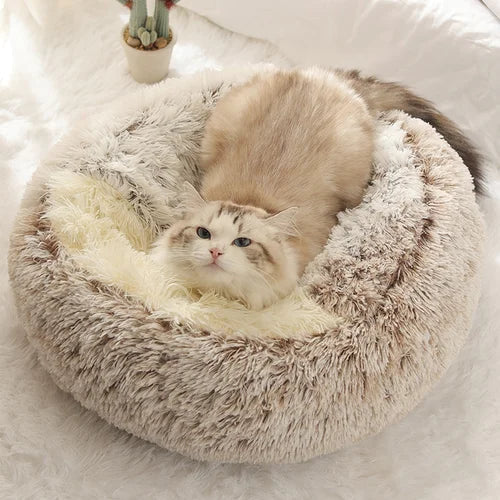 Luxuriöses Katzenplüschbett für ultimativen Komfort
