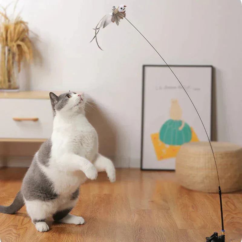 CatCatch | Halte deine Katze aktiv und schütze dein Mobiliar