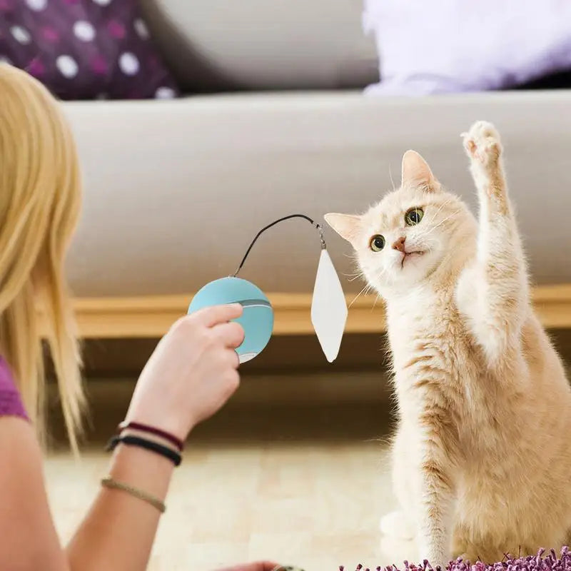 CatJolly | Intelligente Spielkugel für Katzen