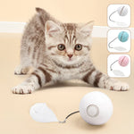CatJolly | Intelligente Spielkugel für Katzen