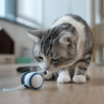 CatRap | Halten Sie Ihre Katze aktiv und glücklich