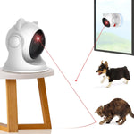 CatZoom | Das ultimative Spielerlebnis für Katzen