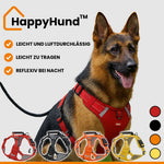 Sicheres und bequemes Hundegeschirr für entspannte Spaziergänge