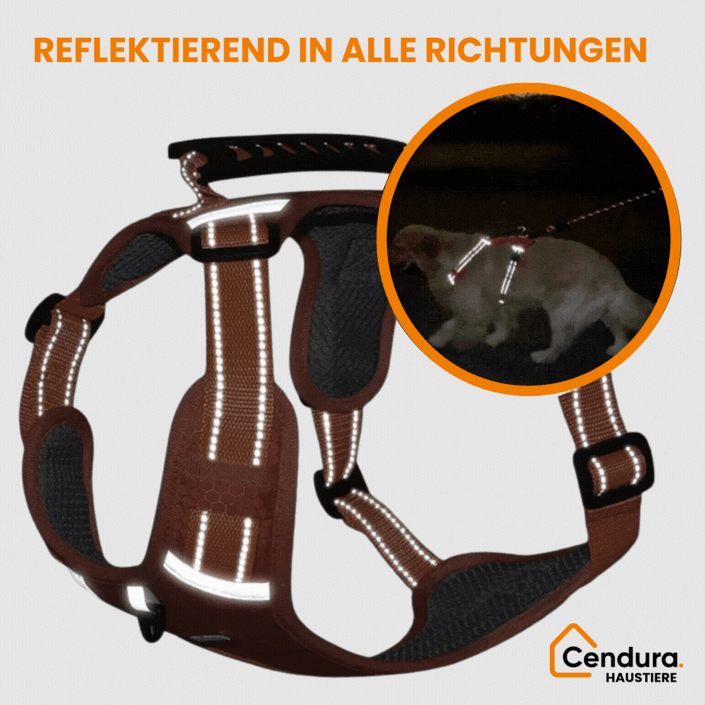 Bild-Alt-Text