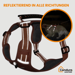 Sicheres und bequemes Hundegeschirr für entspannte Spaziergänge