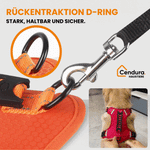 Sicheres und bequemes Hundegeschirr für entspannte Spaziergänge