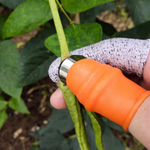 Ergonomische Erntehilfe mit Daumenmessern für Obst und Gemüse