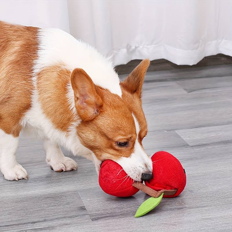 CherryPals | Das ultimative Spielzeug für deinen Hund!
