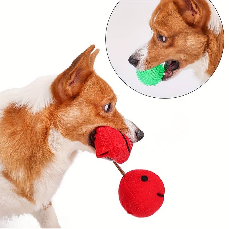 CherryPals | Das ultimative Spielzeug für deinen Hund!
