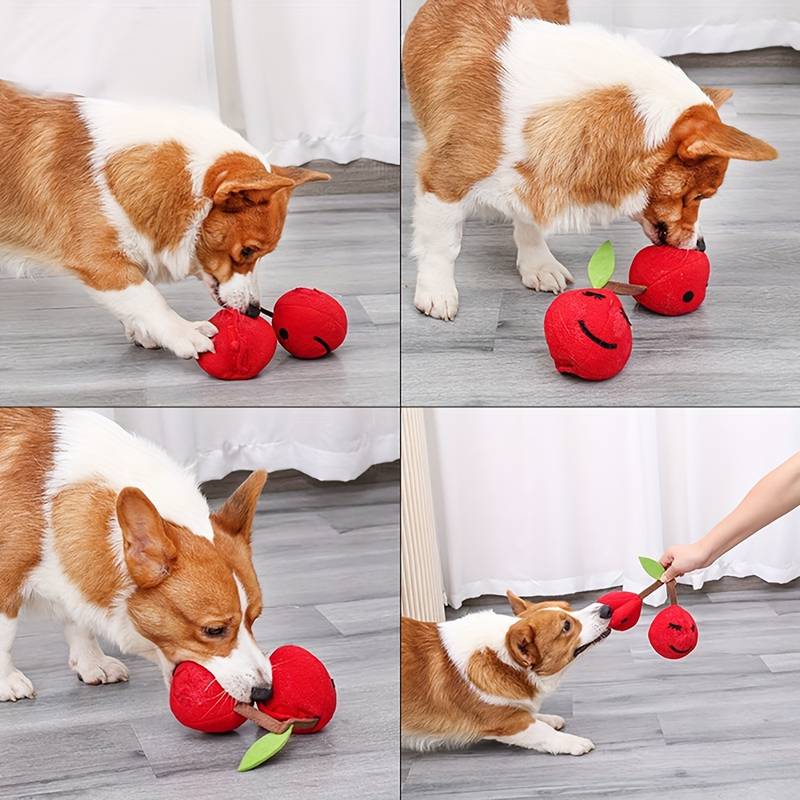 CherryPals | Das ultimative Spielzeug für deinen Hund!